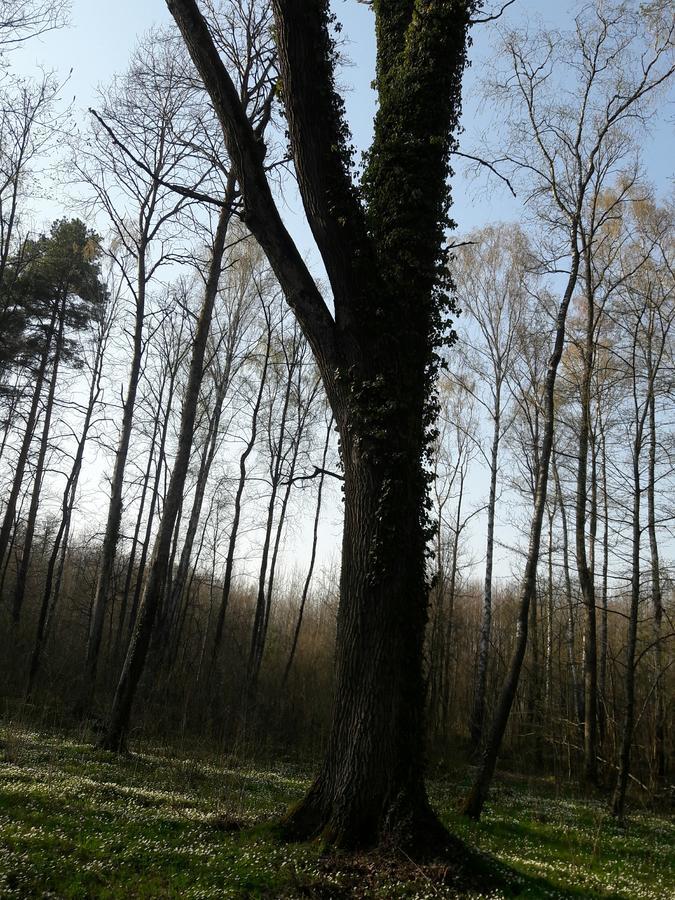 Лазурний берег Pulemets Экстерьер фото